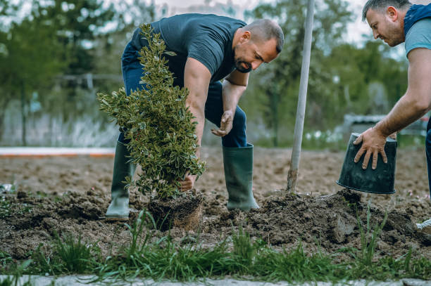 Mulching Services in New Hempstead, NY