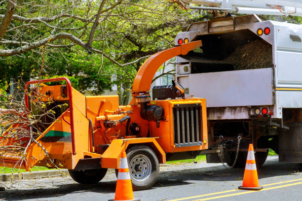 New Hempstead, NY Tree Services Company